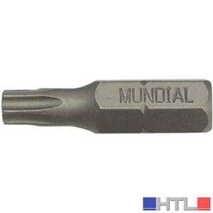 INSERTO PER VITI TORX 1/4" MUNDIAL TX 10 (Confezione da 12 pezzi)