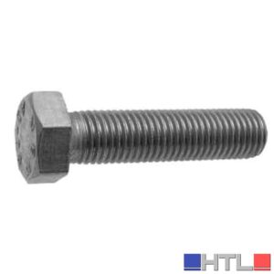 BULLONE T.E. INOX 10x100 (Confezione da 50 pezzi)