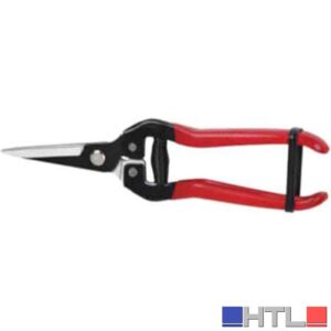 FORBICI COGLIFRUTTA E ORTAGGI CARDINALE 19 cm