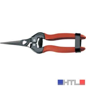 FORBICI COGLIFRUTTA E ORTAGGI AUSONIA 19 cm