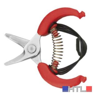 FORBICI PER AGRUMI '10,5' AUSONIA 10,5 cm