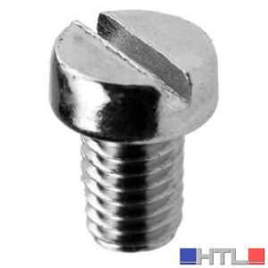 VITE PER FERMADADO DUE BUOI M 4x5