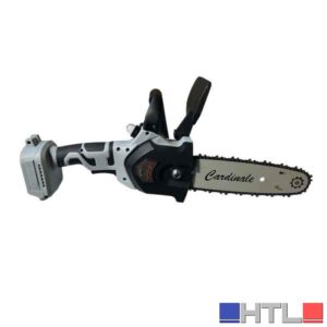 MOTOSEGA DA POTA A BATTERIA DEXTER 'GARDEN LINE' CARDINALE Barra 20 cm