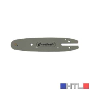 BARRA DI RICAMBIO PER MOTOSEGA DA POTA A BATTERIA 'DEXTER'  Barra 20 cm