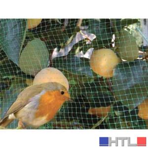 RETE ANTIUCCELLI CARDINALE 2x10 mt - colore verde