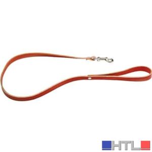 GUINZAGLIO PER CANI CON MOSCHETTONE  10x900 mm