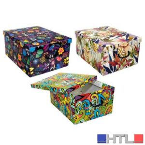 CONTENITORE MULTIUSO 'BIG BOX FANTASY' 50x39x24,5h cm