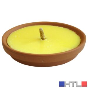 CITRONELLA IN PADELLA DI TERRACOTTA MADE INTALY  Ø cm. 11