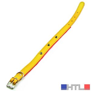 Utilia Pet COLLARE IN CUOIO FELPATO CON BORCHIE cm. 44x2,0 col. Assortiti (confezione da 6)