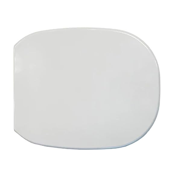 SEDILE WC IN TERMOINDURENTE POZZI GINORI 500 FORMA 6 Bianco - Soft Close